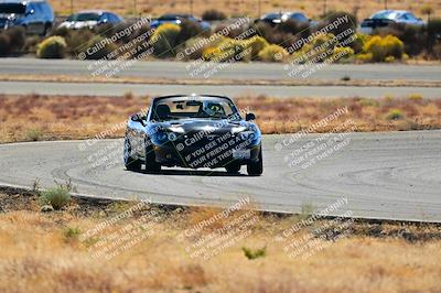 media/Nov-16-2024-Extreme Speed (Sat) [[6587d07cc4]]/Gold Group/Session 2 (Turns 3 and 5)/